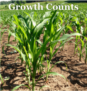 Growth Counts