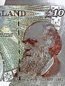 Charles Darwin Money UK