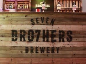 Seven Bro7hers 2