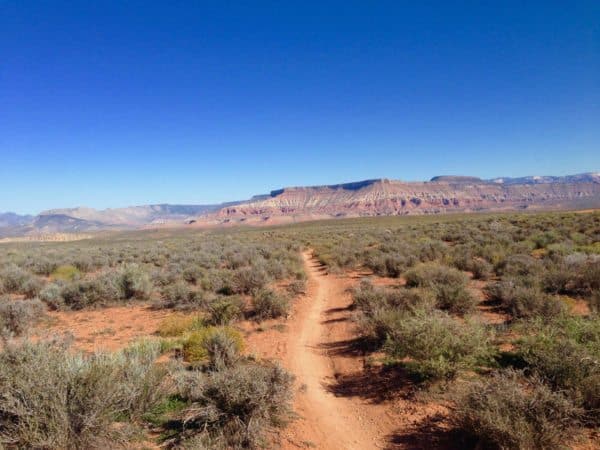 path-trail-utah-desert-blue-sky-mesa-scrub-bush