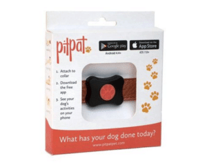 pitpat-1