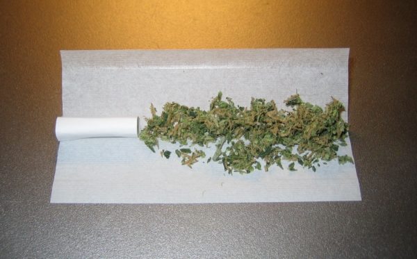 unrolled_joint-marijuana-cannabis