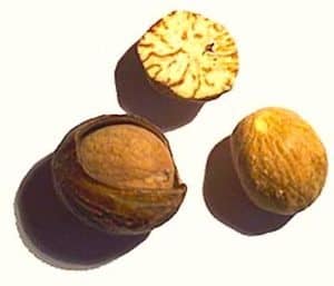 nutmeg-spice-nuts