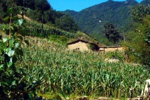 mountain-farm-china-corn-agriculture