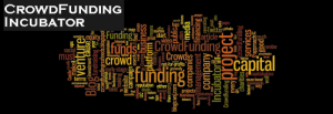 Crowdfunding Incubator LLC 2