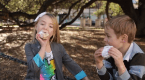 Protect Kids From Nanoparticles in Sweets Indiegogo