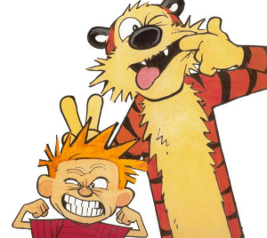 calvin-and-hobbes