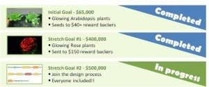 Glowing Plant Stretch Goals