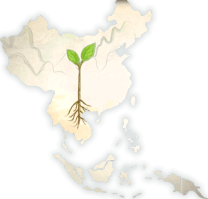 SeedAsia China Growing