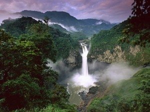 Ecuador Amazon Rain Forest