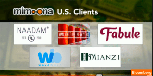 Mimoona US Clients