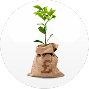 Money Tree from Funding Empire