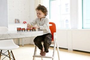 Svan Baby to Booster Chair