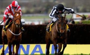 Crowd Racing Horses