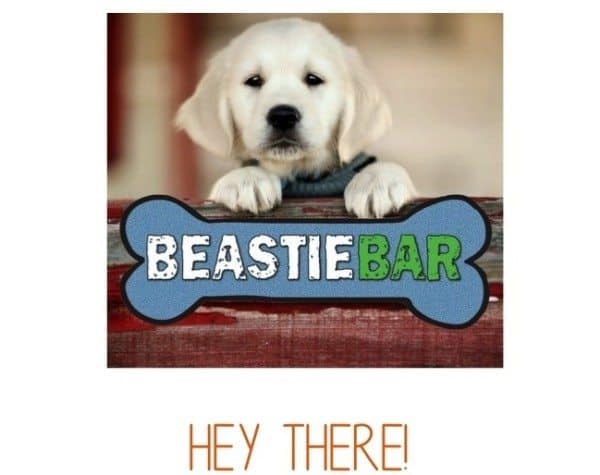 Beastie Bar