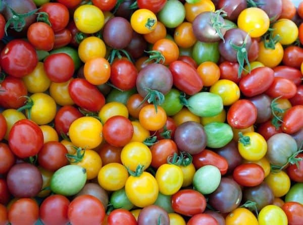 Home Town Farms