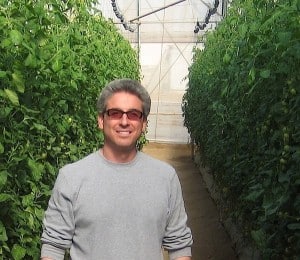 Dan Gibbs