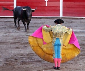 Spain Bull Bullfighting