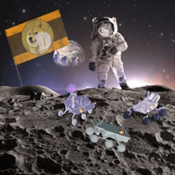 DogeCoin Moon