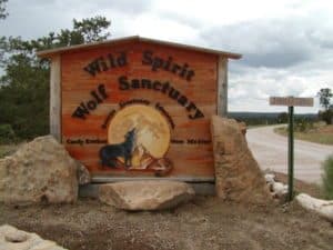 Wild Spirit Wolf Sanctuary