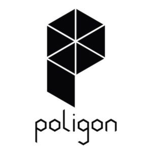 Poligon 6