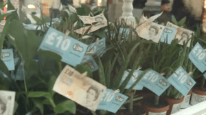 Zopa Money Trees