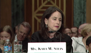 Kara Stein Testifying 2