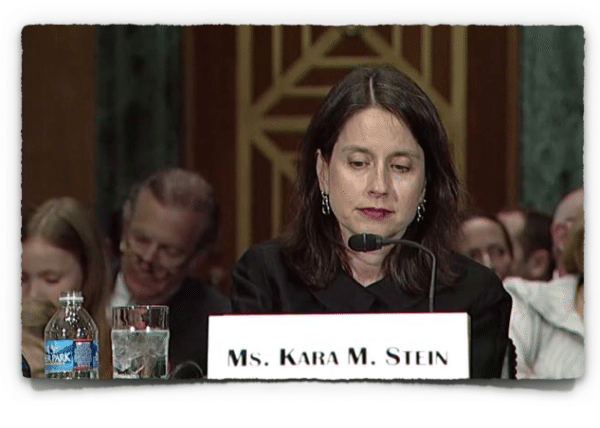 Kara Stein testifying