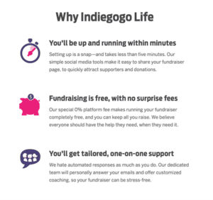 Indiegogo 1