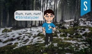 Stridalyzer