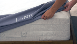 Luna 6