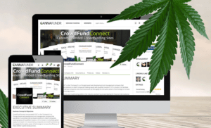 Cannafundr on computer