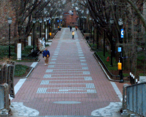 Locust Walk