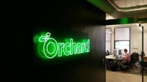 Orchard in Neon