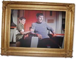 For the love of Spock 2