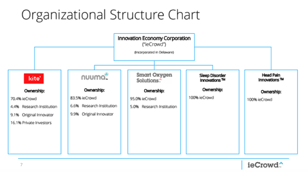 ieCrowd Structure