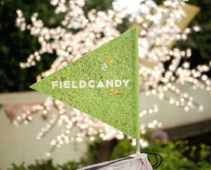 FieldCandy 1