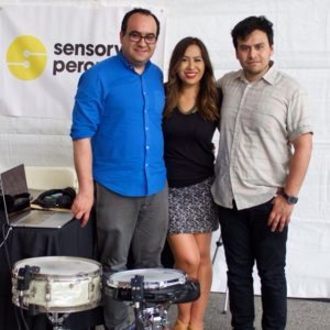 sensory percussion team