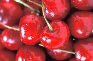 Cherry Cherries