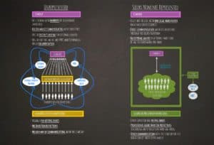 Seedrs Nominee Structure Diagram