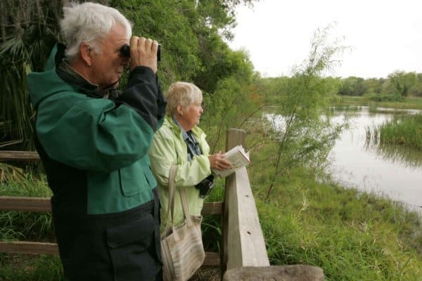 older couple watching