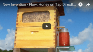 Flow Hive