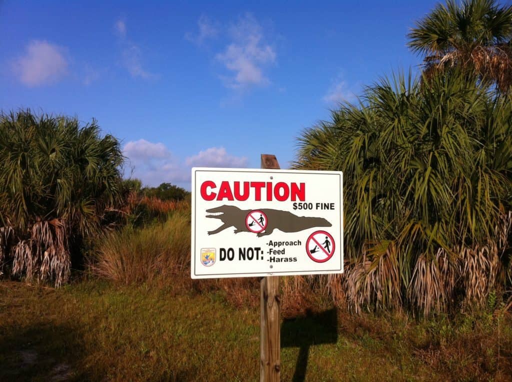 Blockchain Analytics Firm Elliptic Examines Financial Crime Risks of Stablecoins