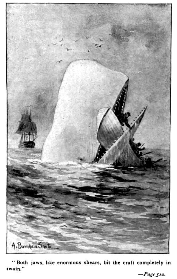 Moby Dick Page 510 Whale Eating Boat