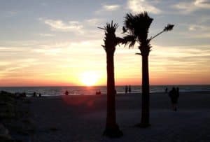 Florida Sunset Beach Palm Trees Sun