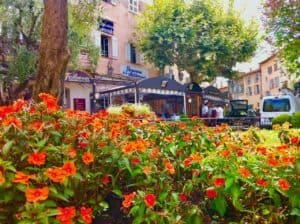 Mougins, France Flowers and Cafe