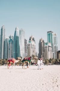 Dubai UAE Beach Camels fredrik-ohlander-unsplash