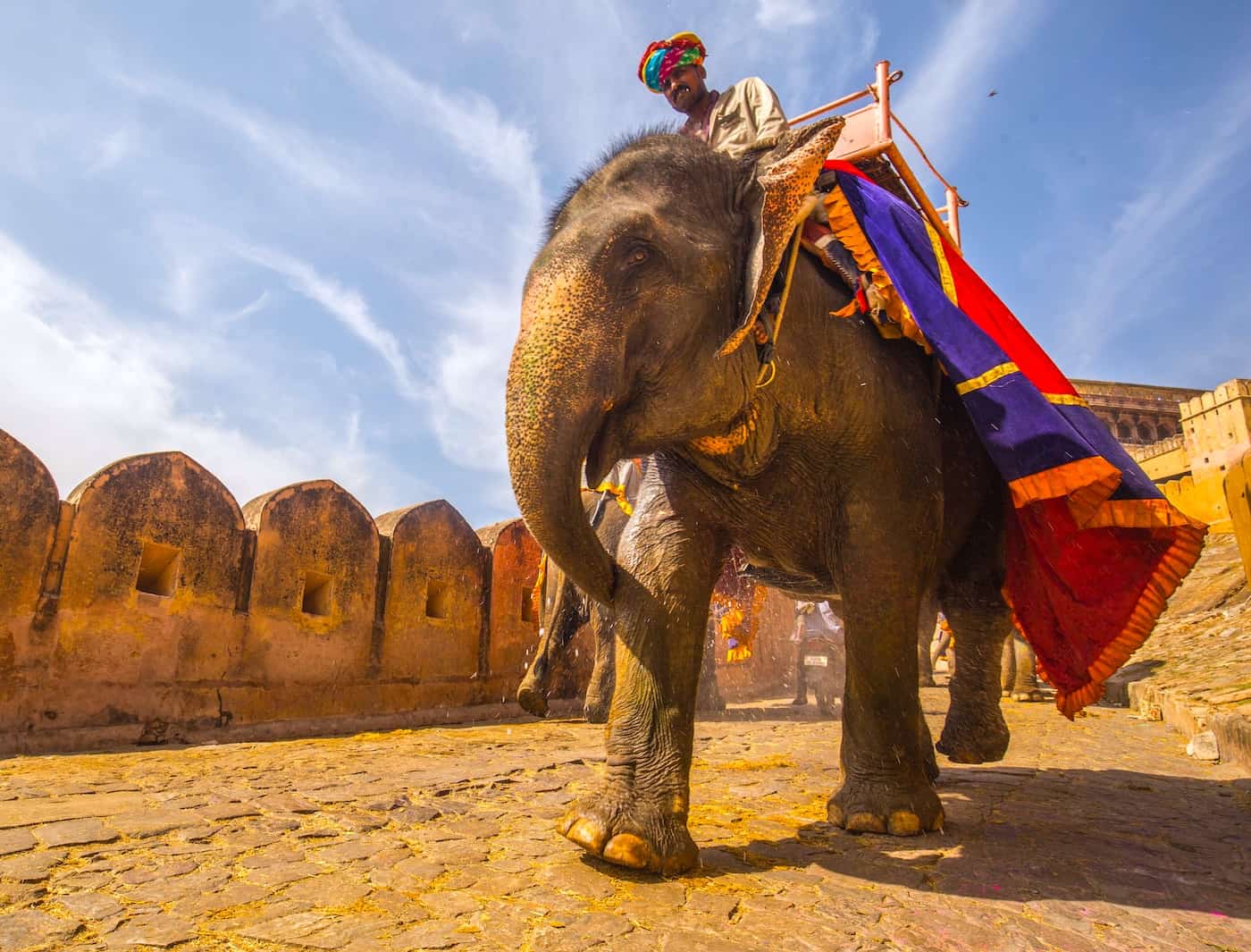 https://www.crowdfundinsider.com/wp-content/uploads/2019/09/Elephant-Amber-Palace-Jaipur-India-rayban-unsplash.jpg