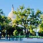 Meltem Demirors: CSO at CoinShares Says Cryptocurrency Is “Inevitable” and We Might See Many Bad Policies from Lawmakers