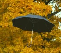 Umbrella taylor wright unsplash
